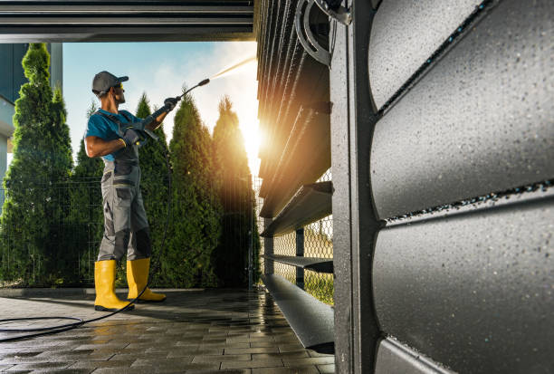 Best Rust Removal  in Niles, MI